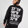 The North Face Coordinates Crew Sweatshirt