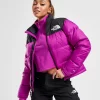 The North Face 1996 Nuptse Jacket