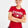 Official Team Wales Cymru Short Sleeve T-Shirt