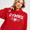 Official Team Wales Cymru Hoodie